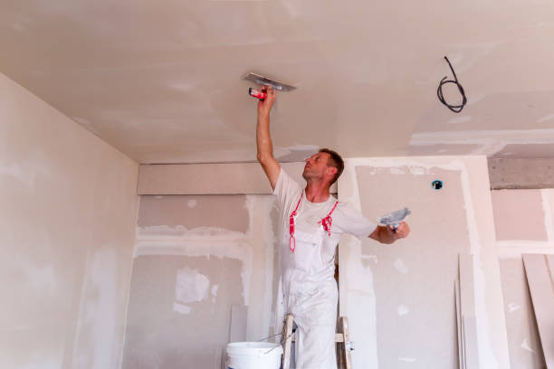  Crested Butte, CO Dry wall and painting Pros